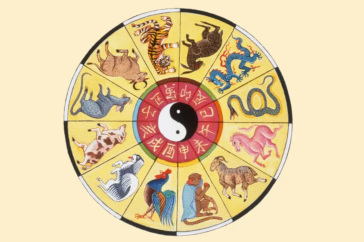 Çin Astrolojisi ve Burç Özellikleri: Kişiliğiniz Hangi Hayvan Burcuna Göre Şekilleniyor?